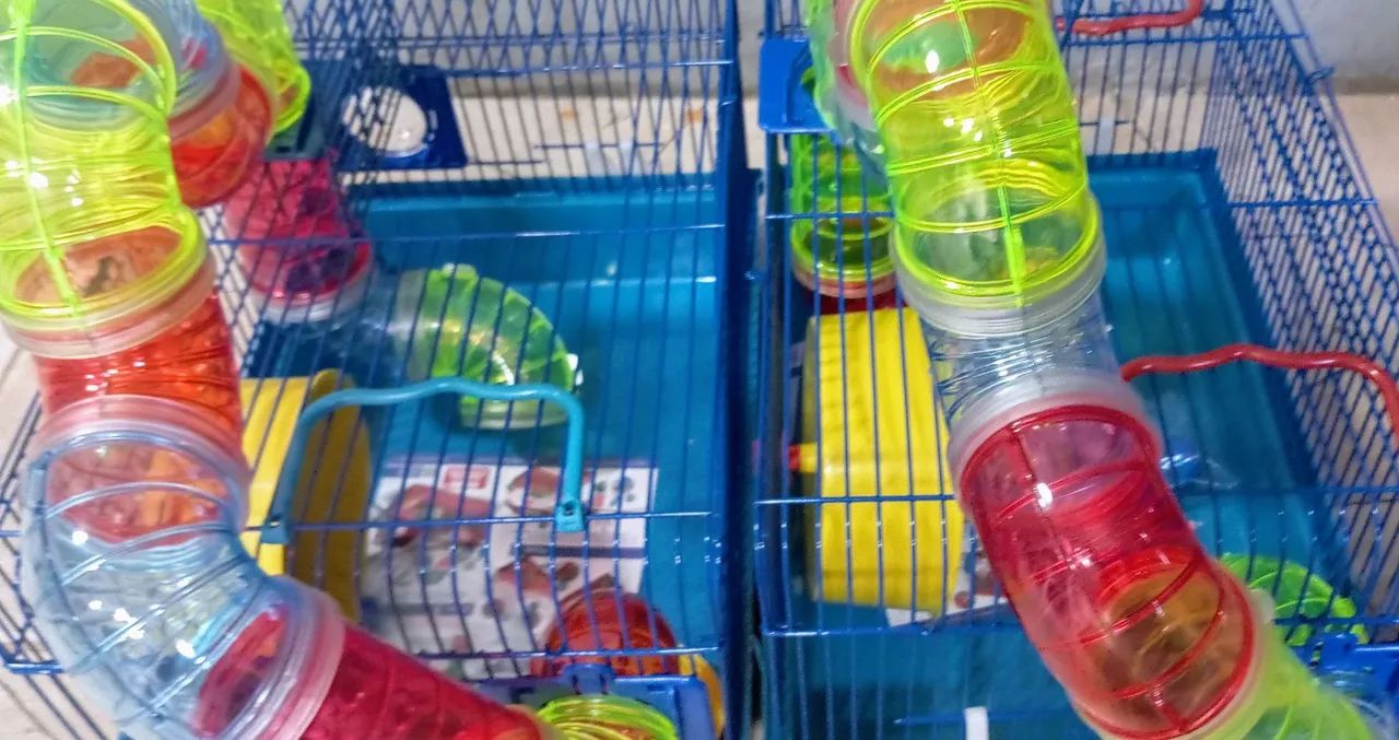 Gaiola para Hamster com Tunel de tubos - Foto 2