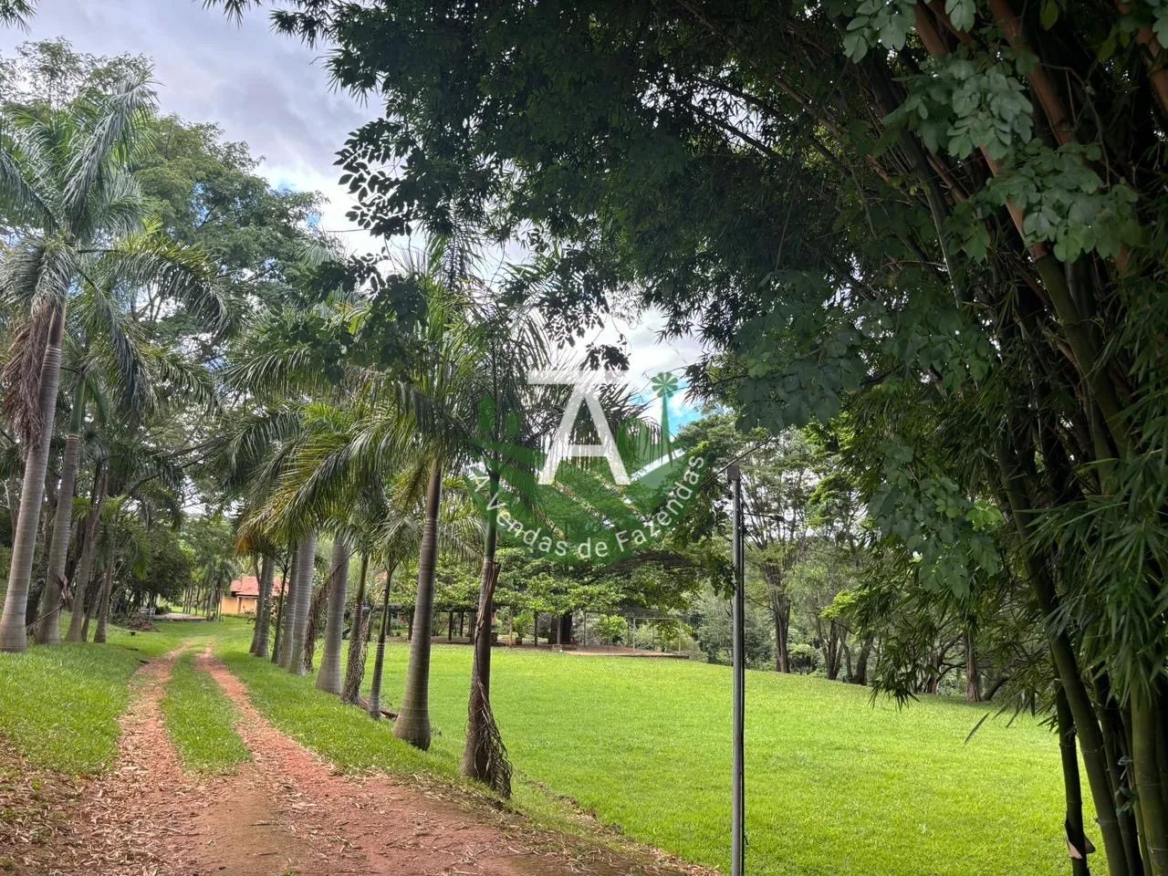 Chacara 2 alq em Anapolis - Foto 2