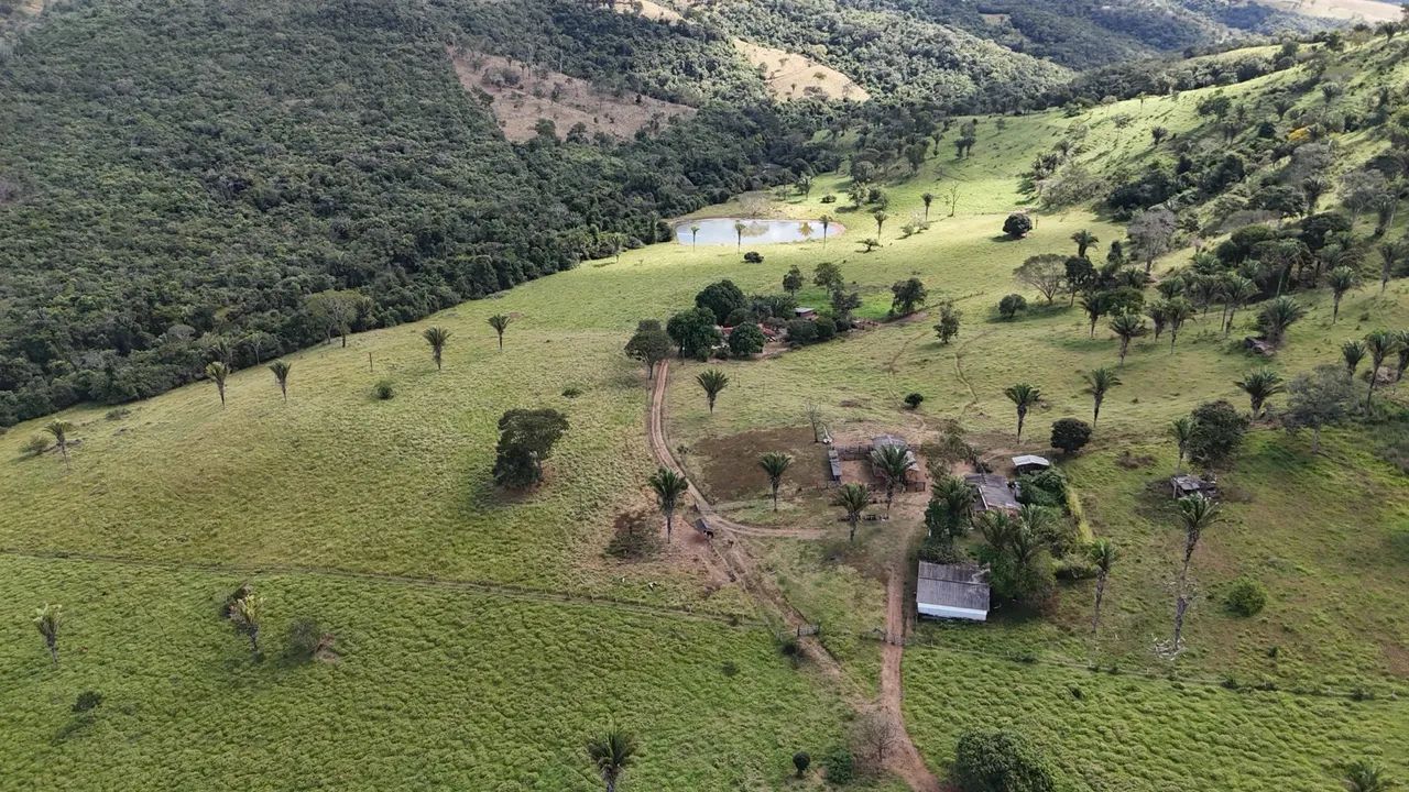 Sítio 10 alqueires 48.5 hectares 