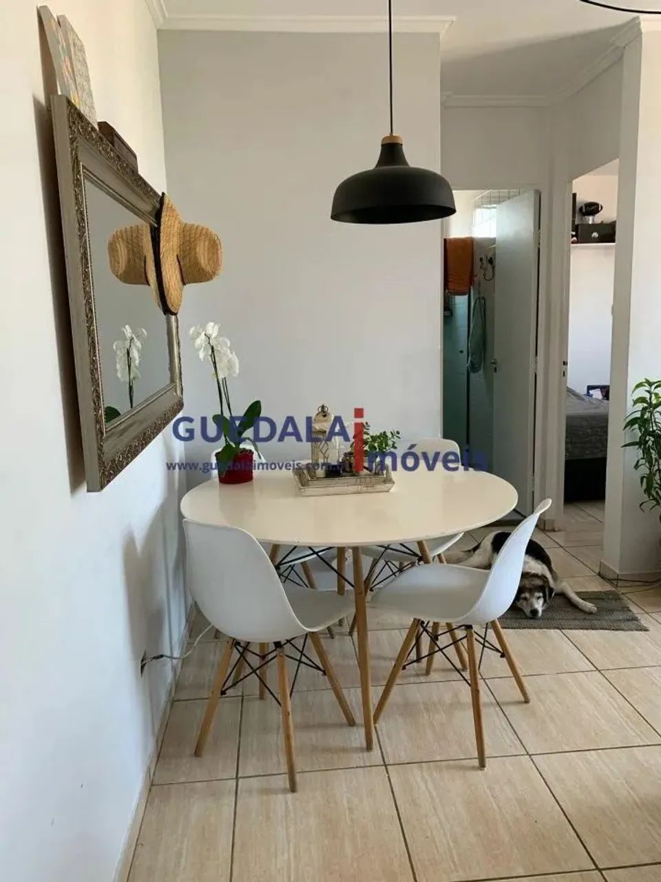 Butantã - Bonfiglioli - Foto 3