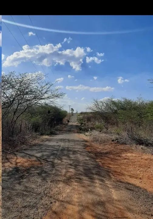 Terrenos a venda - Foto 2