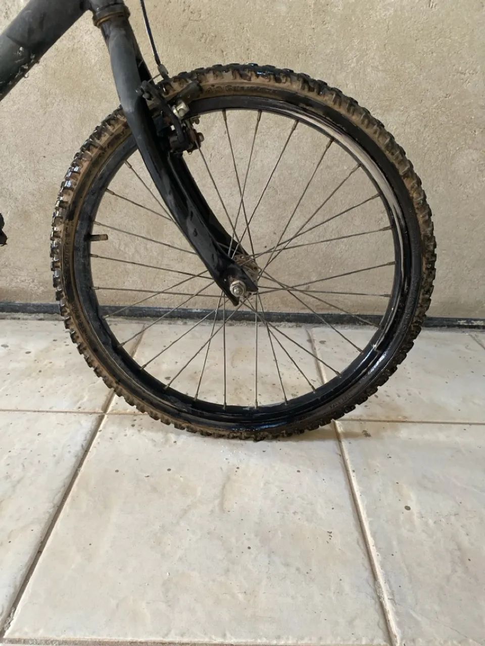Bicicleta CALOI  - Foto 3