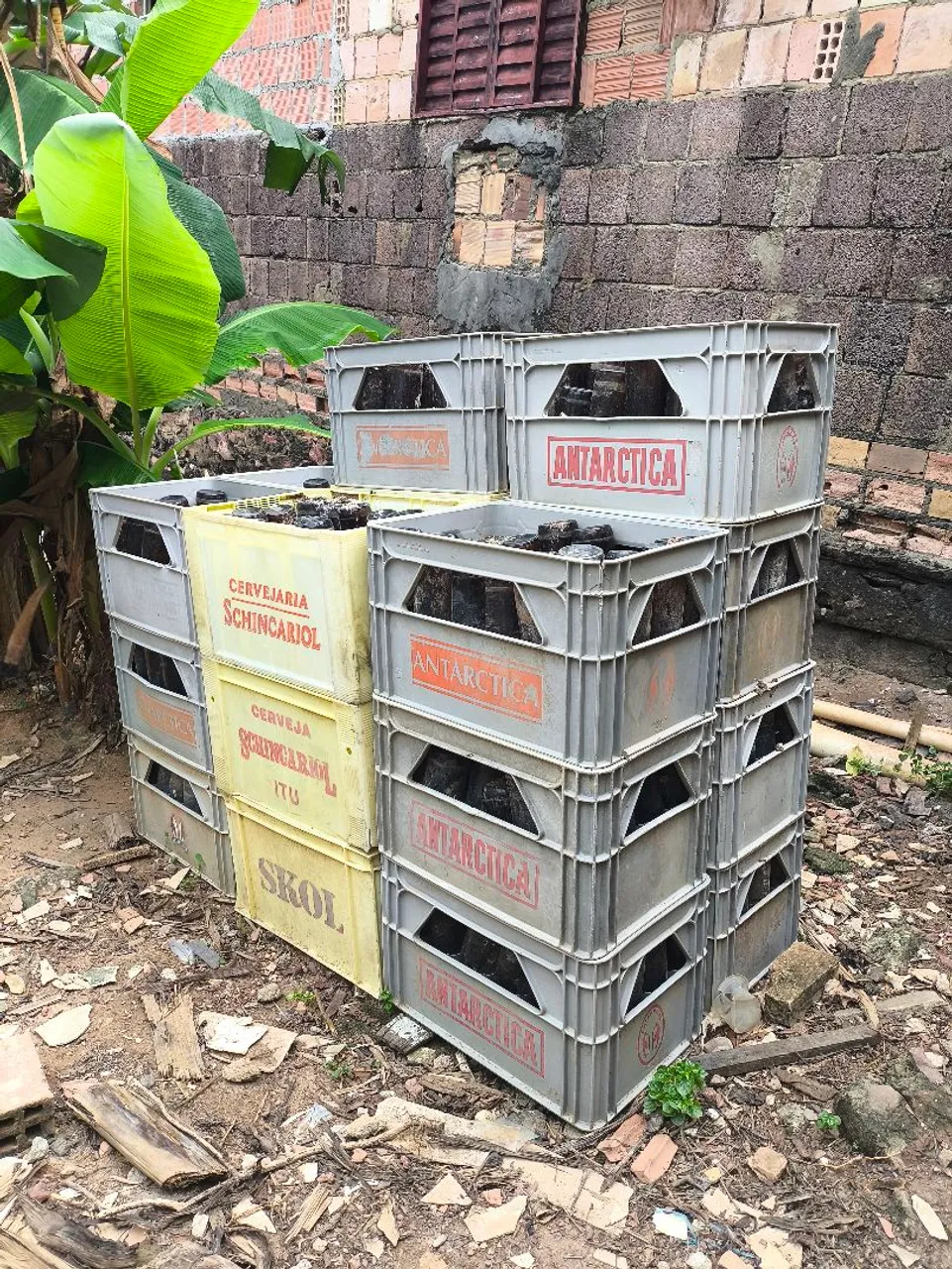 Caixas de plástico para bebidas