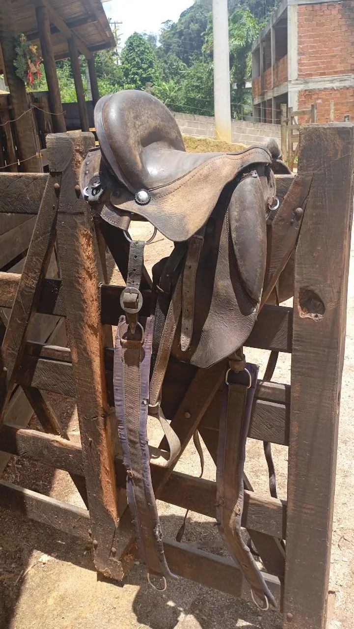 Sela de cavalo 