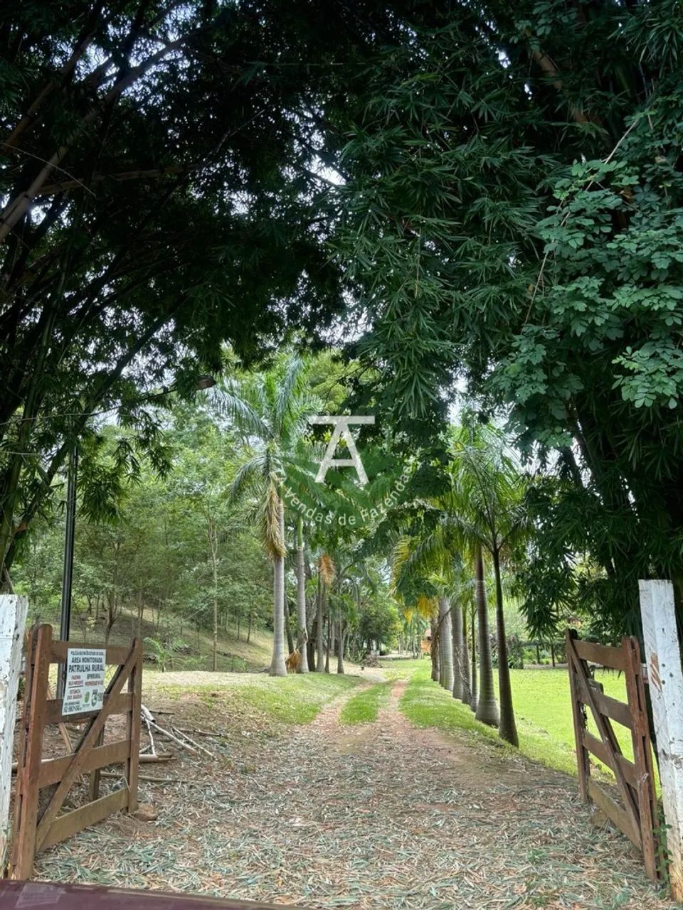 Chacara 2 alq em Anapolis - Foto 4