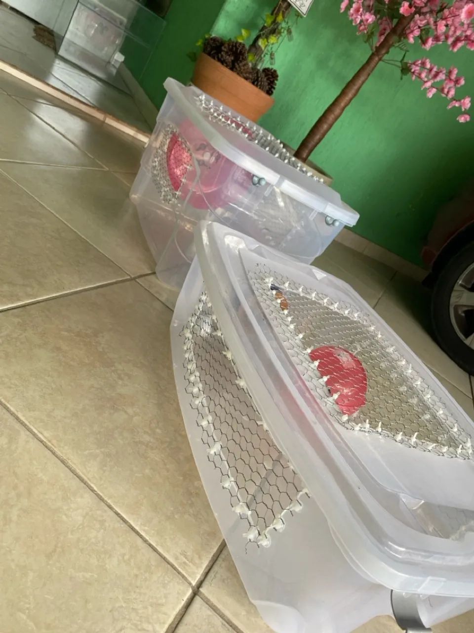 Mini-Terrário caseiro para seu hámster  - Foto 3