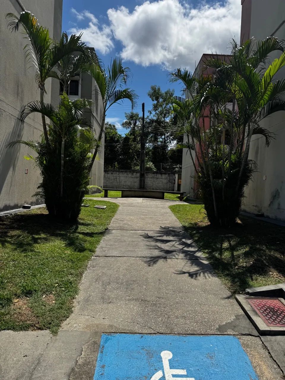 Foto - Manaus - Flores