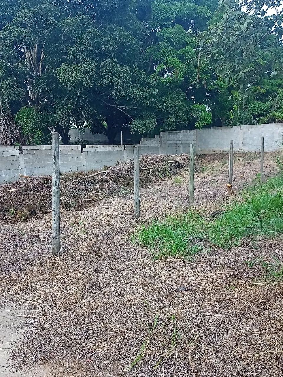 Vendo terreno em Vila Merlo - Foto 4