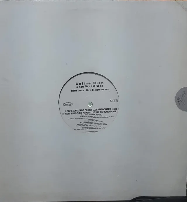 Disco de Vinil LP Celine Dion A New Day Has Come (Importado)
