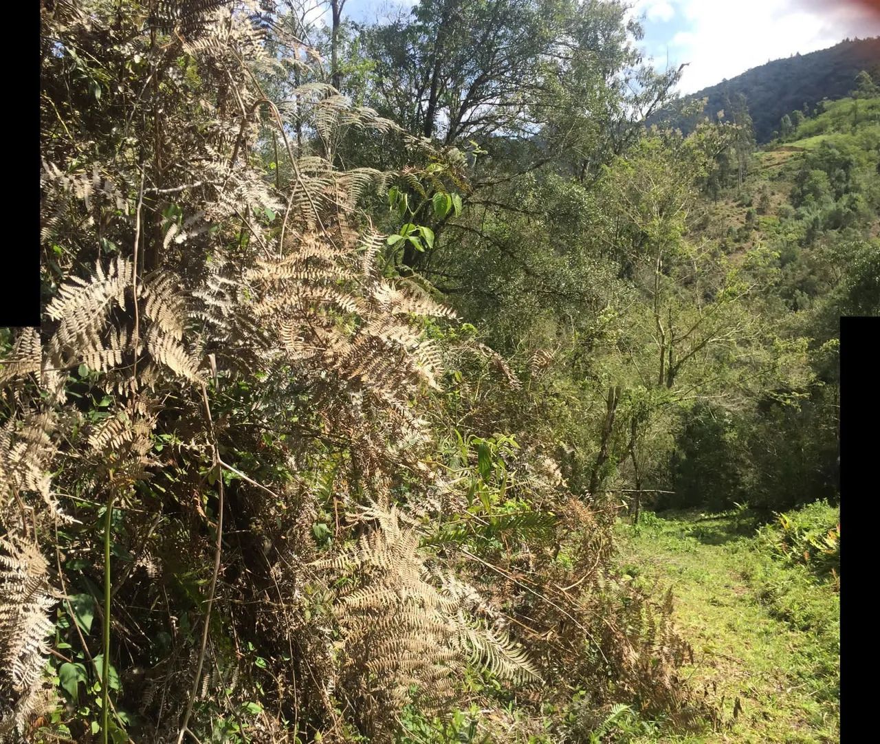 ANITÁPOLIS/SC - Terreno em frente a SC -108 com 15.2 hectares  - Foto 4
