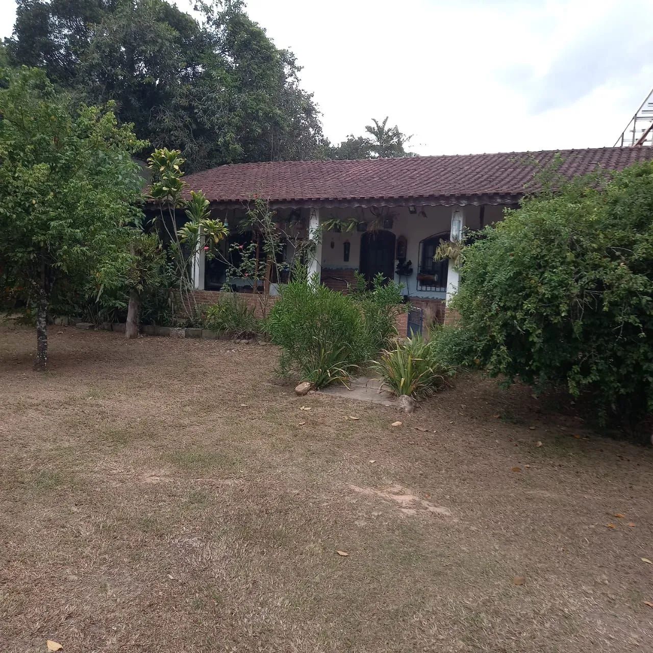 Foto - Pedro de Toledo - 