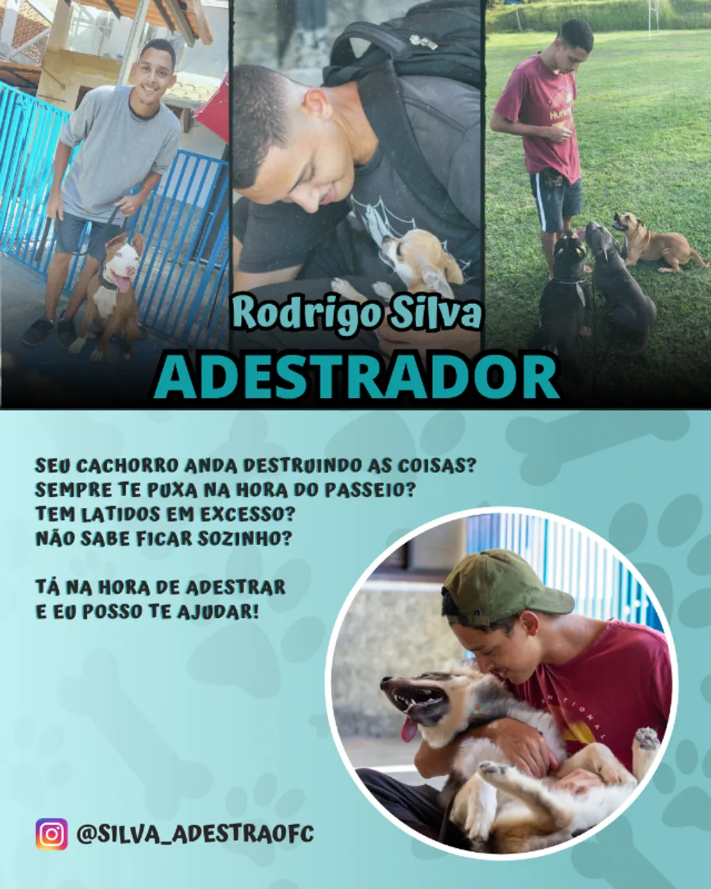 Adestramento de cães