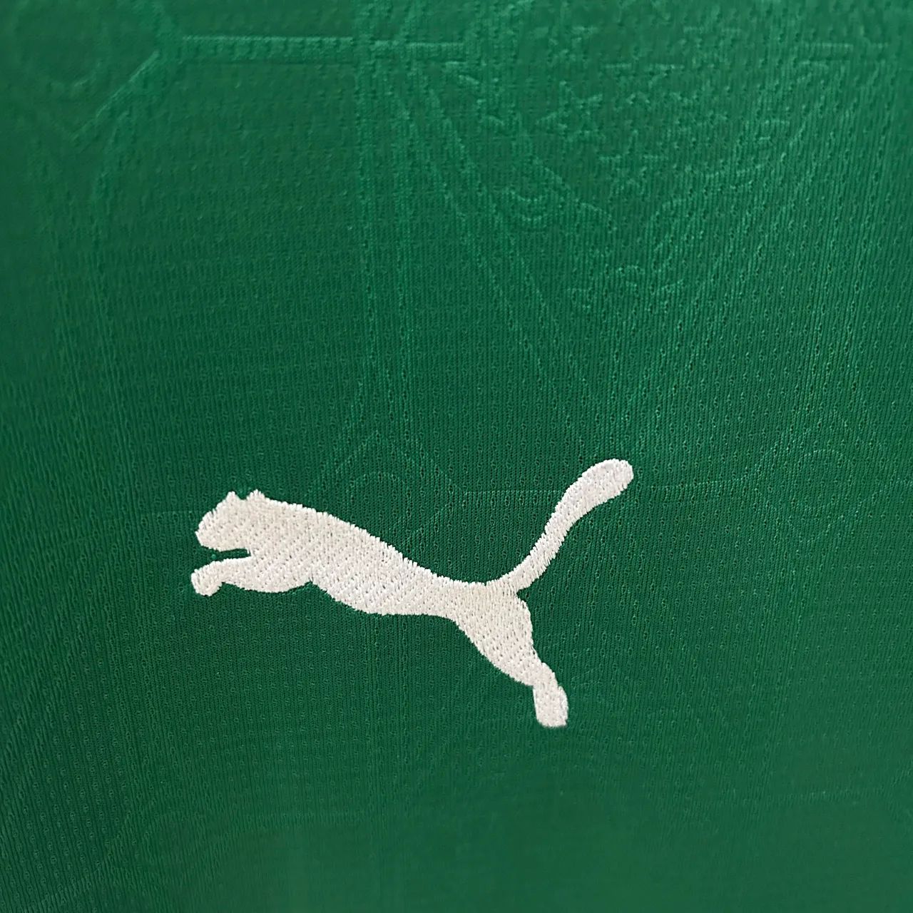 Camisa Palmeiras Puma - Verde - Foto 4