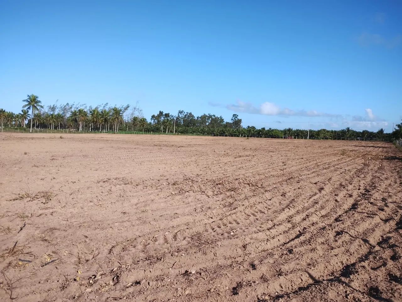 Foto - São José de Mipibu - 