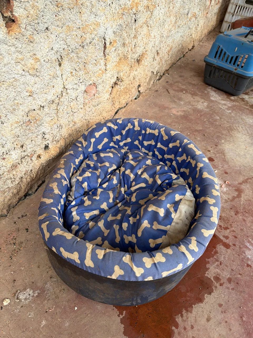 Caminha de cachorro