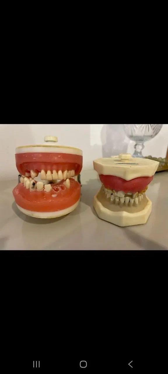 Manequim odontológico/periodontia - Foto 4
