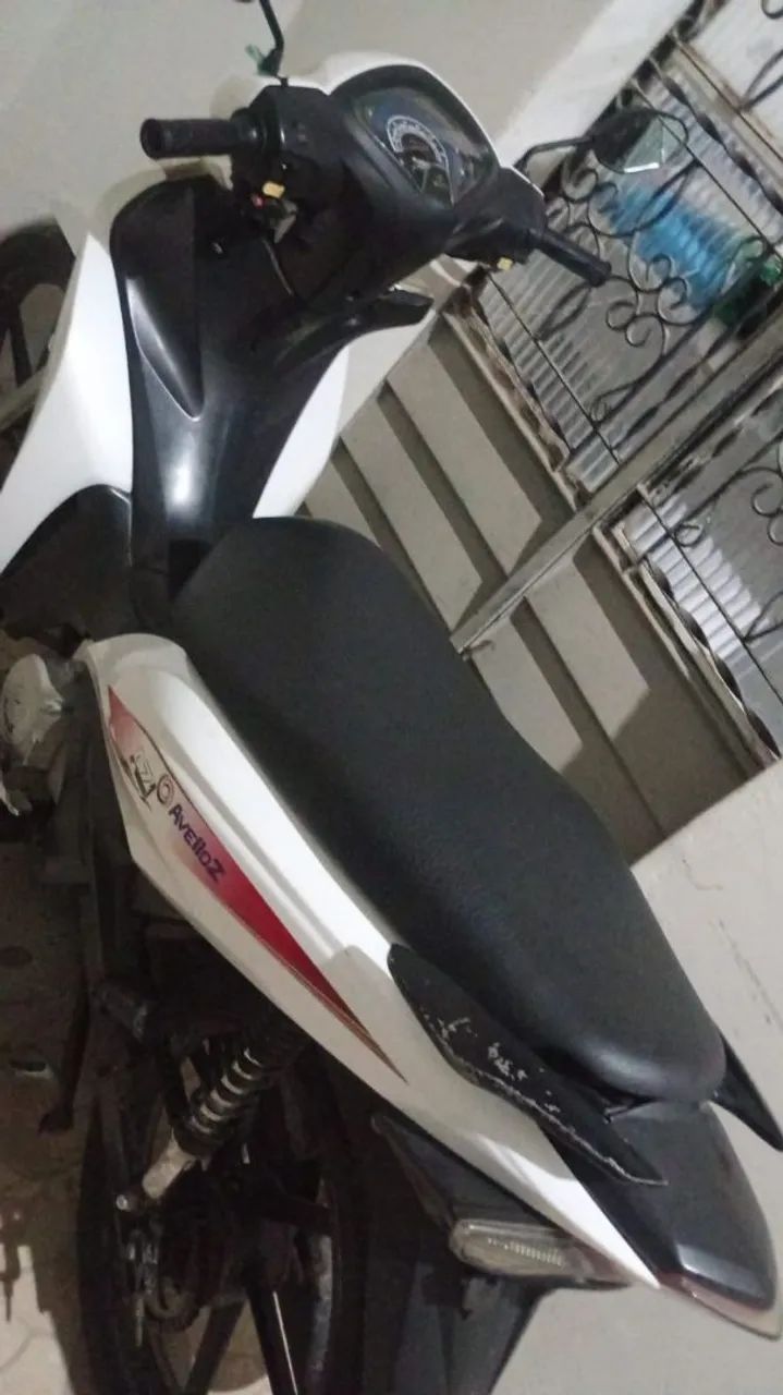 aveloz  - Foto 2