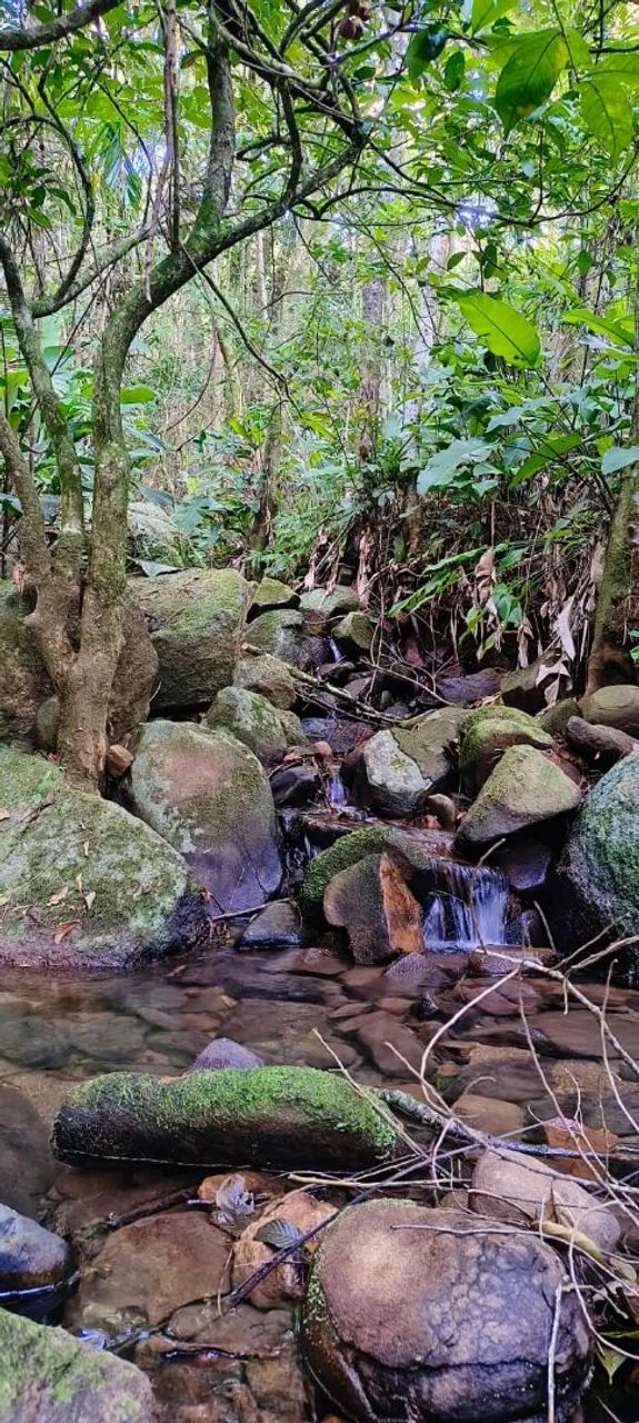?Excelente Área rural de 9 ha? - Foto 4