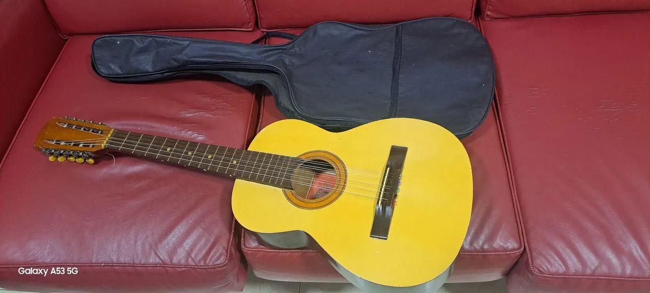 Viola caipira 
