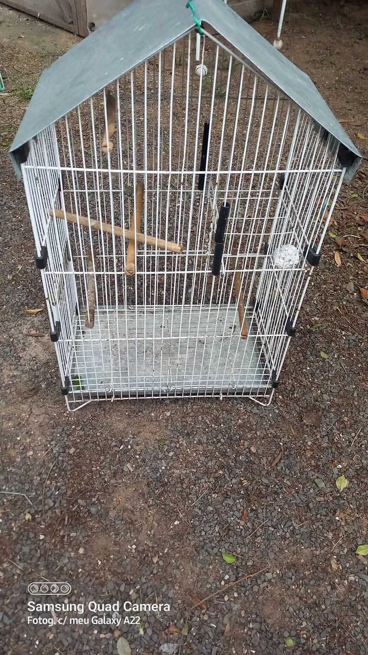 Vendo gaiola 