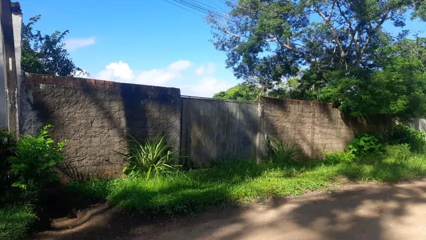 Foto - São Lourenço da Mata - Chã da Tábua