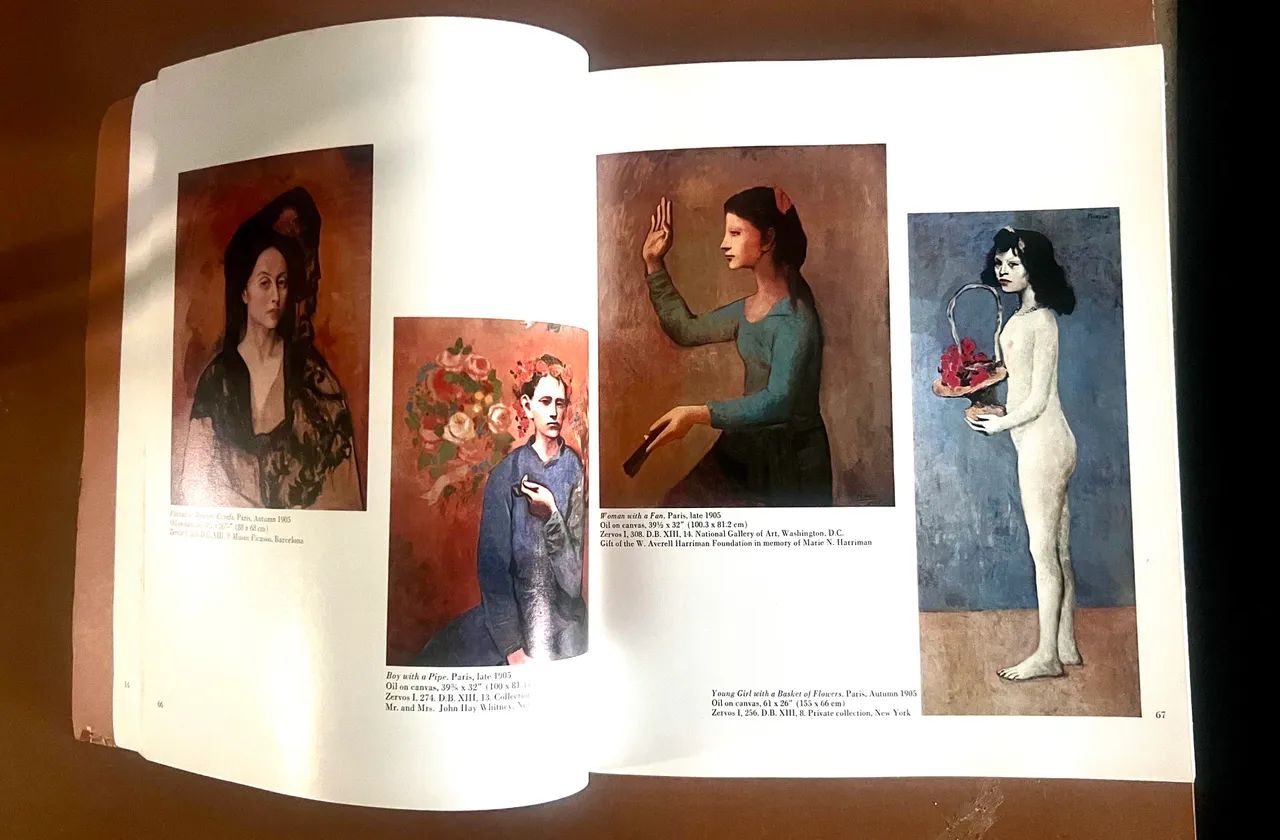 livro do Pablo Picasso - Livros e revistas - Itacorubi