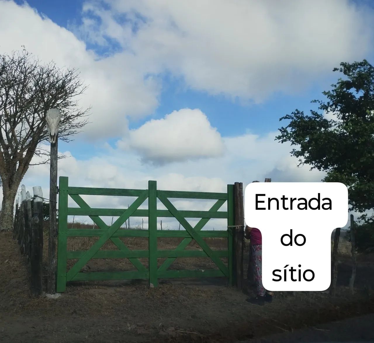 Sítio  - Foto 2