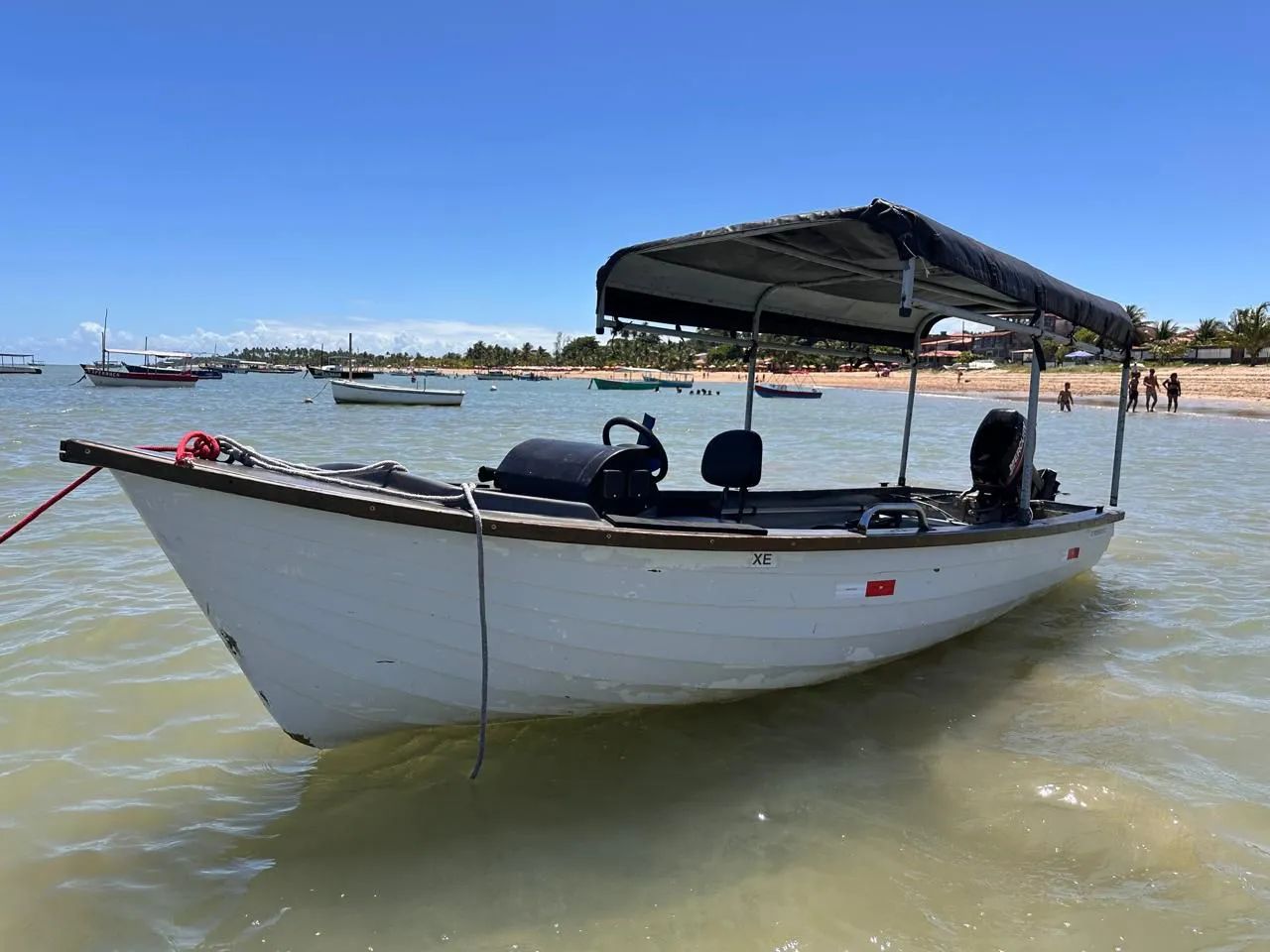 Lancha Barco Bote Mercury 15 Super 
