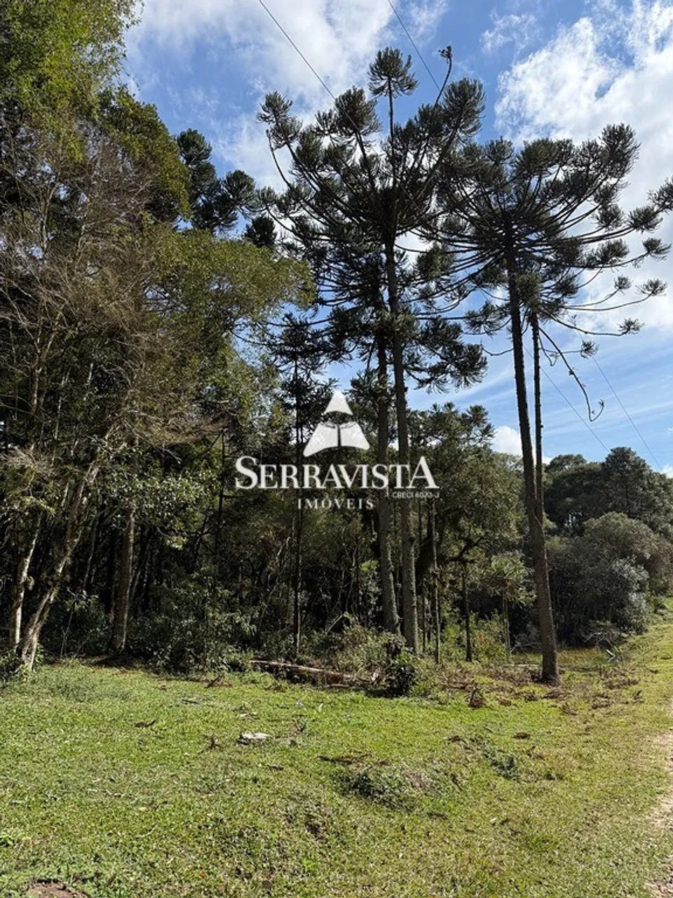 Área para chácara com pastagem e nascente-44.475m2 - Foto 4