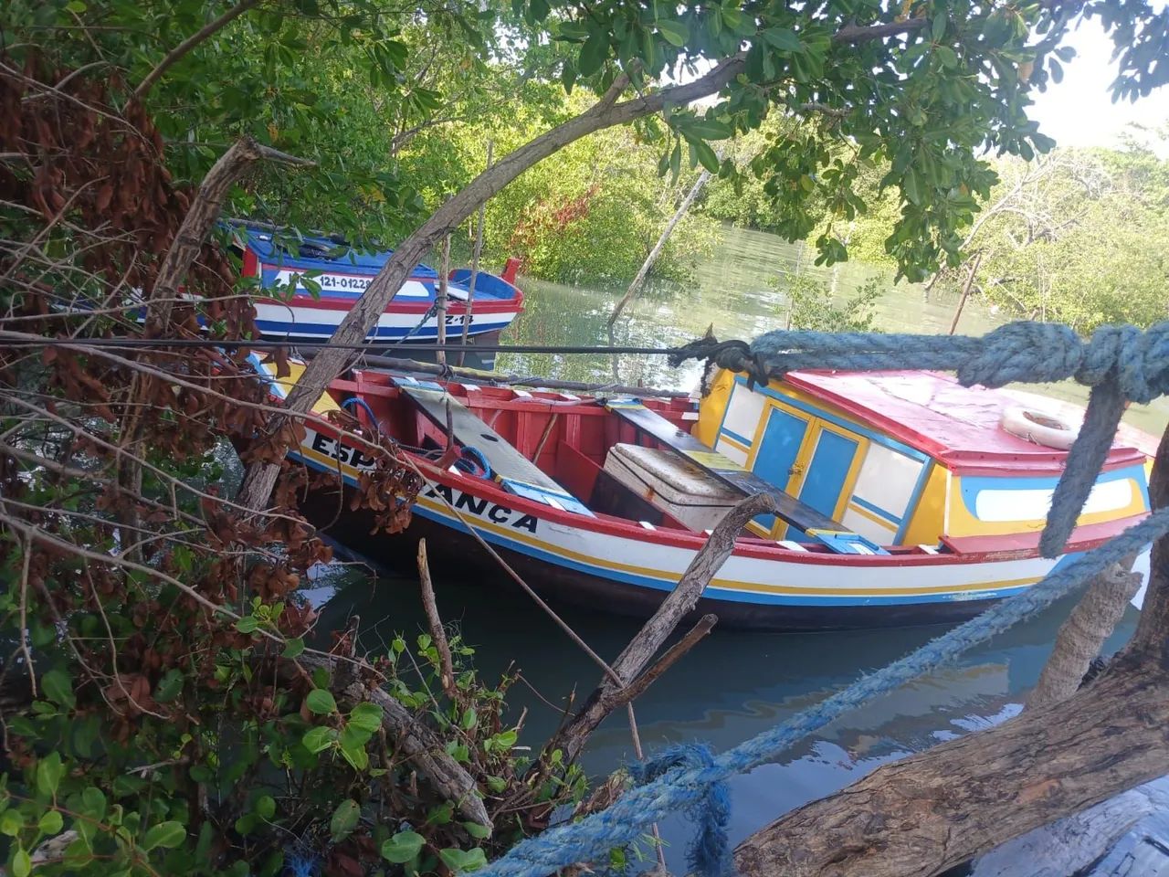 Embarcação 8x2,80 - Foto 4