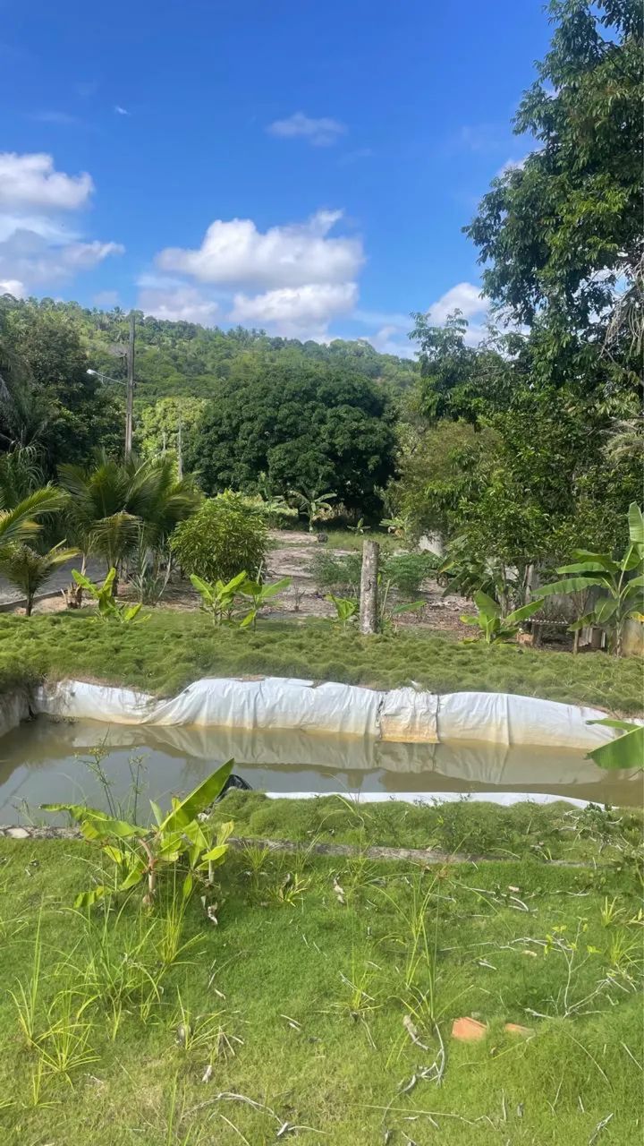 Repasse de 2 Mine Chácaras  - Foto 5