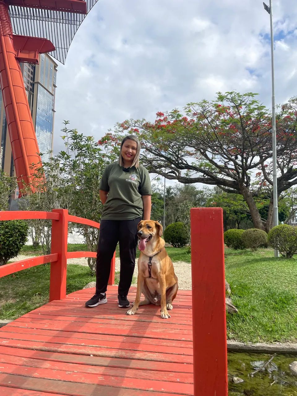 Adestramento de Cães - SJC e região  - Foto 5