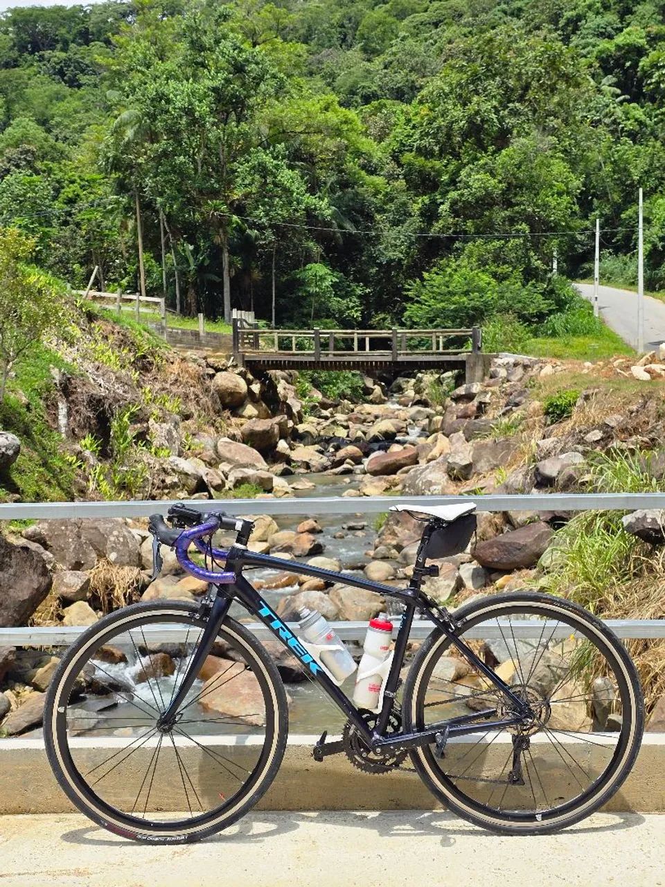 Bicicleta Trek Domane AL2 (AL 2)