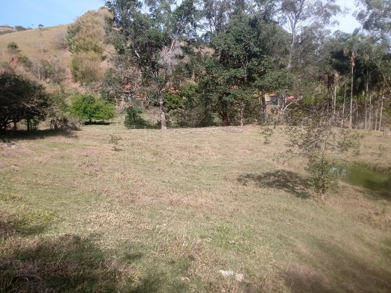 SÍTIO COM 30.7 HECTARES EM JAMBEIRO - Foto 2
