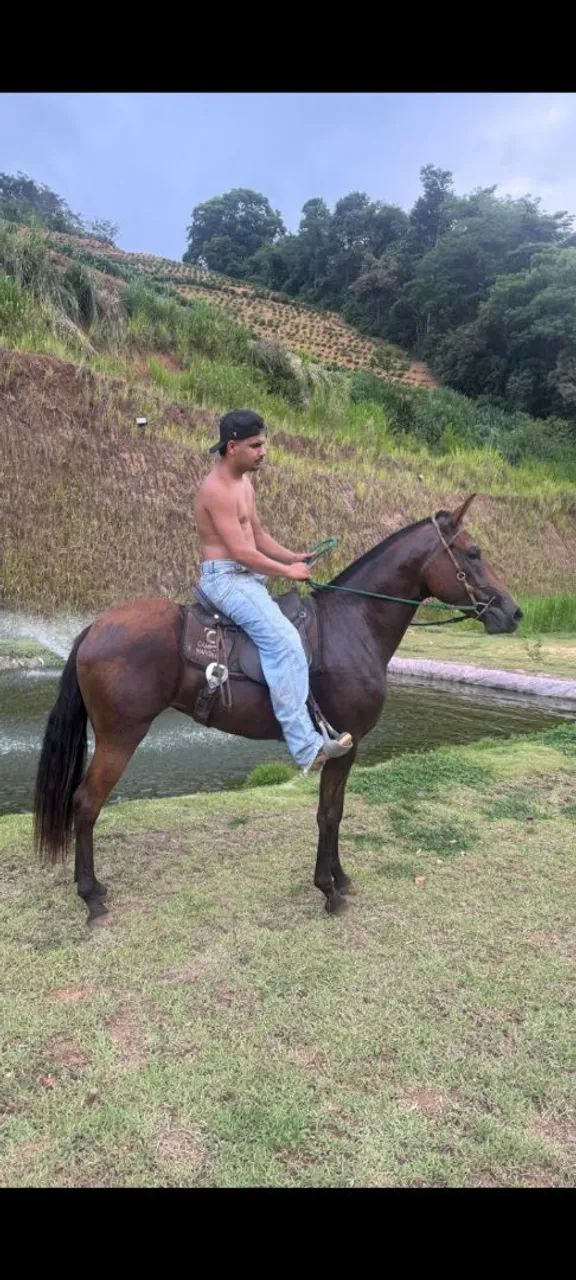 Potra egua genuíno de picado  - Foto 2