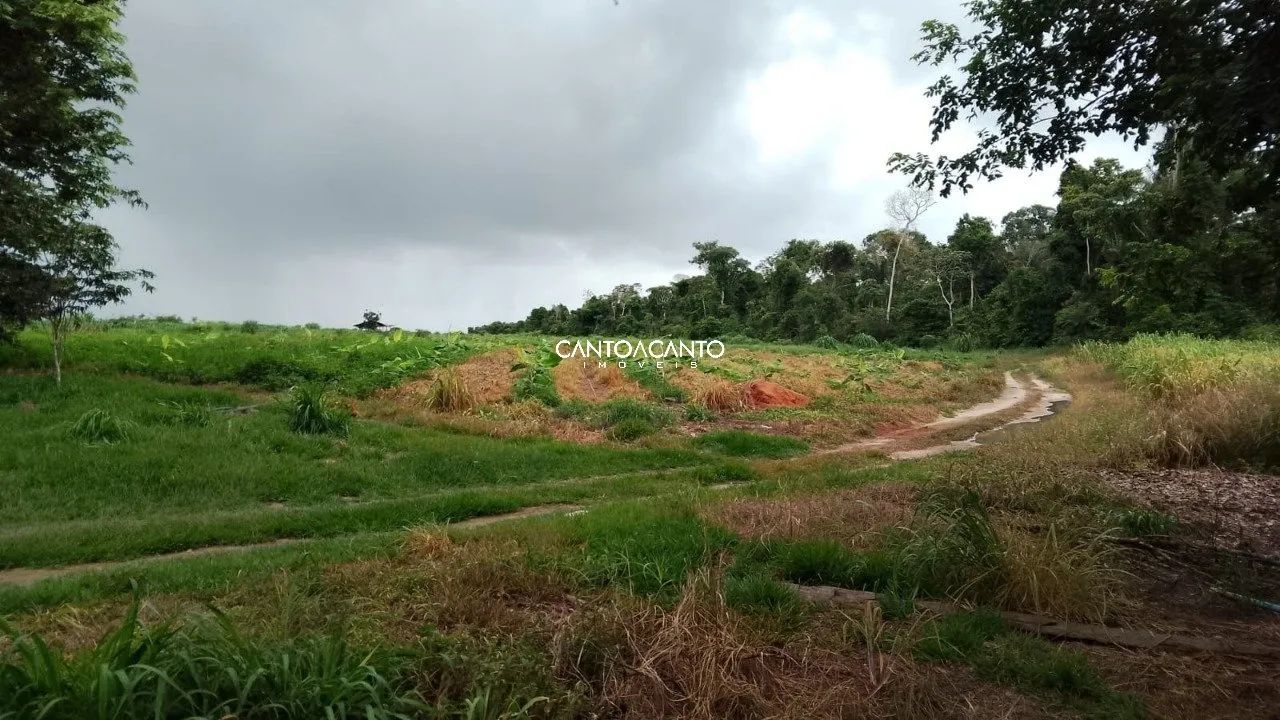 Imóvel Rural - Foto 4