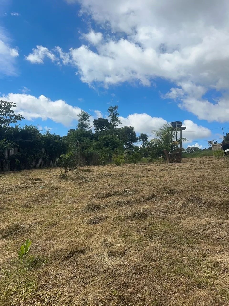 Terreno medindo 10x30 - Foto 5