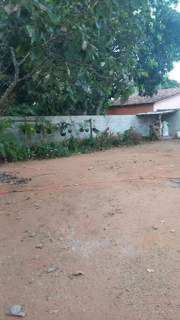 Chácara/Sítio  Excelente Oportunidade! - Foto 3