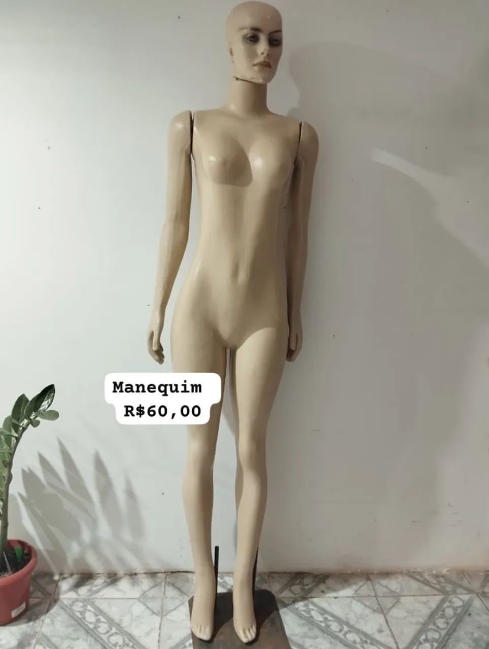 Manequins inteiro e bustos
