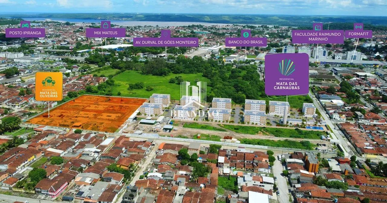 Mata das Carnaúbas - Foto 2