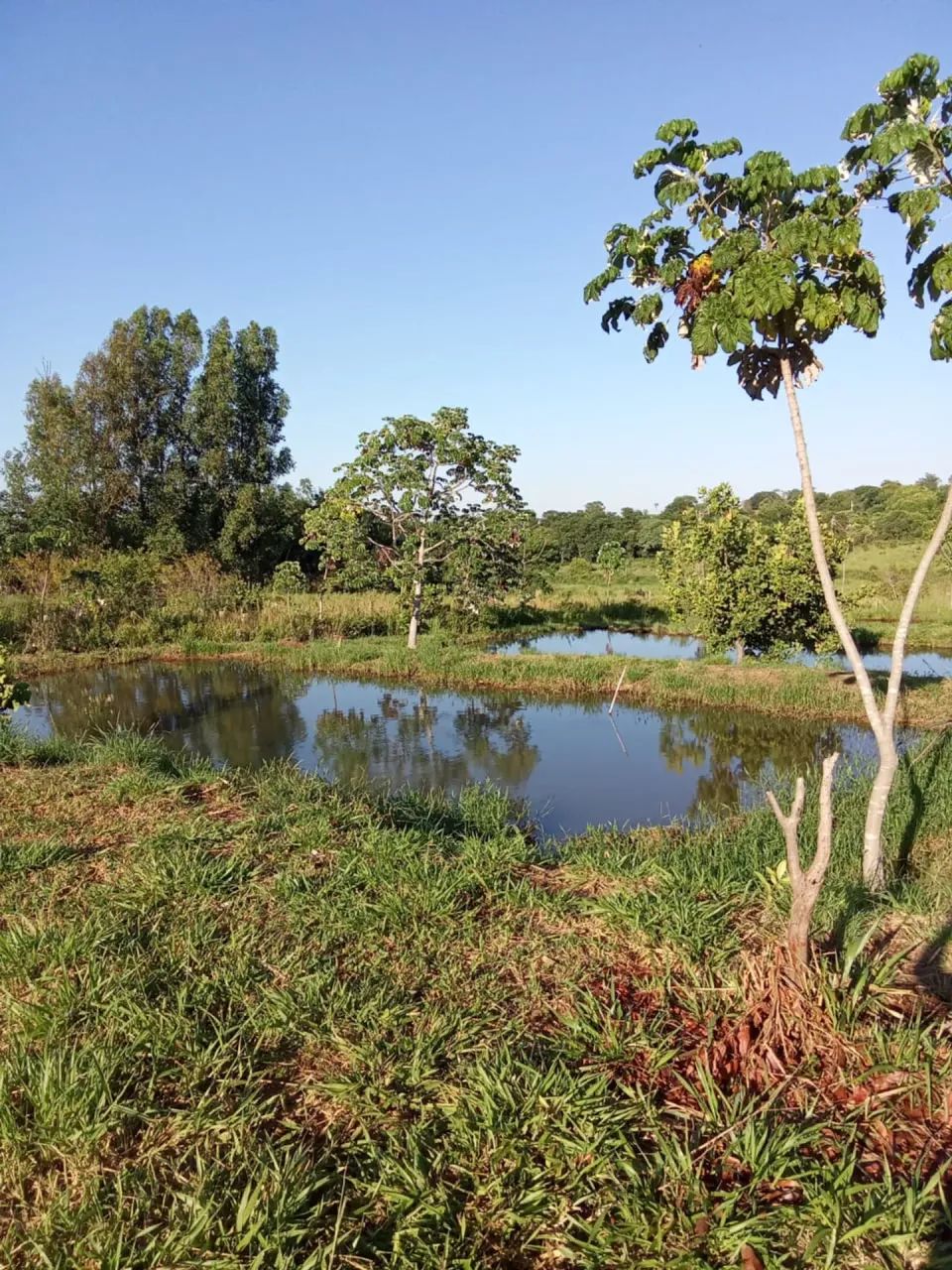 Chácara com 10 açudes - Criação Peixes - Terenos - MS