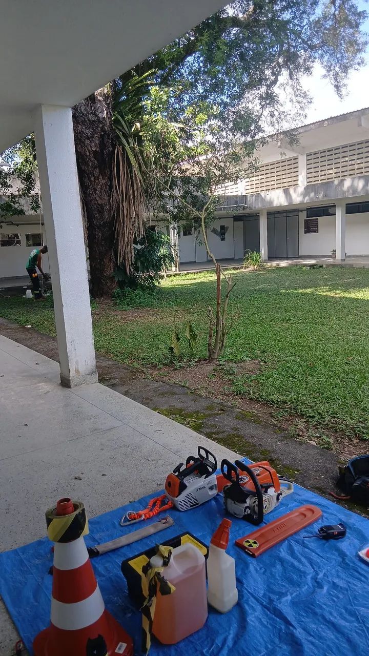 Serviços em altura, poda e corte de árvores - Foto 4