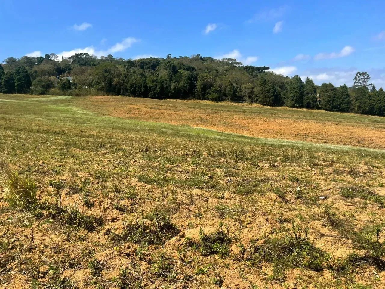 - PERTO DE TUDO QUE VOCÊ PRECISA - Foto 4