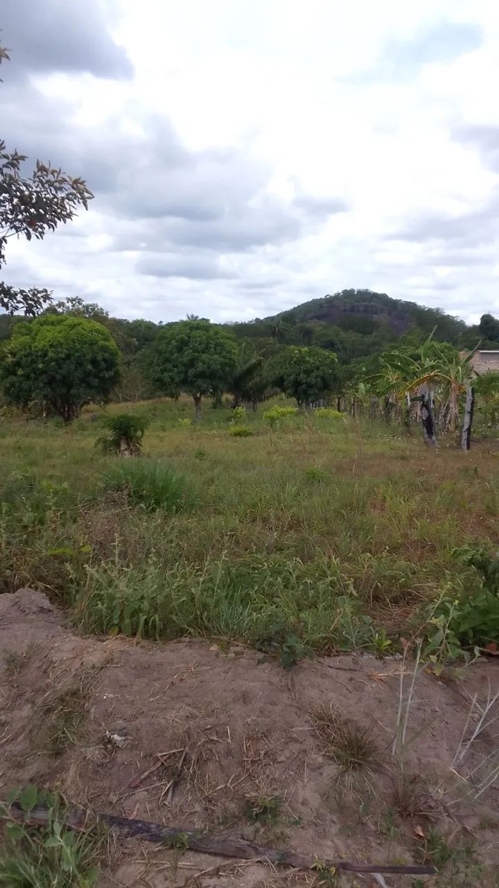 TERRENO DE CHÁCARA 2.000 M2 - S/ BENFEITORIAS - Foto 4