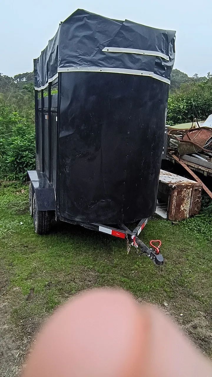 Carretinha cavalo 2026  - Foto 2