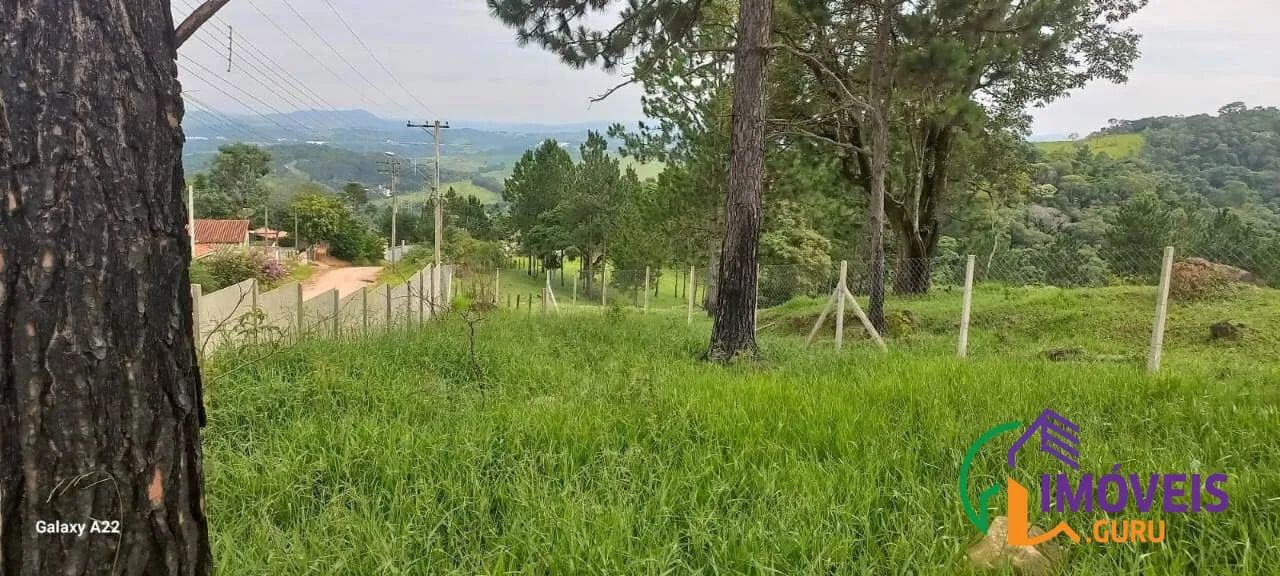 TERRENO - VITÓRIA RÉGIA - SP - Foto 4