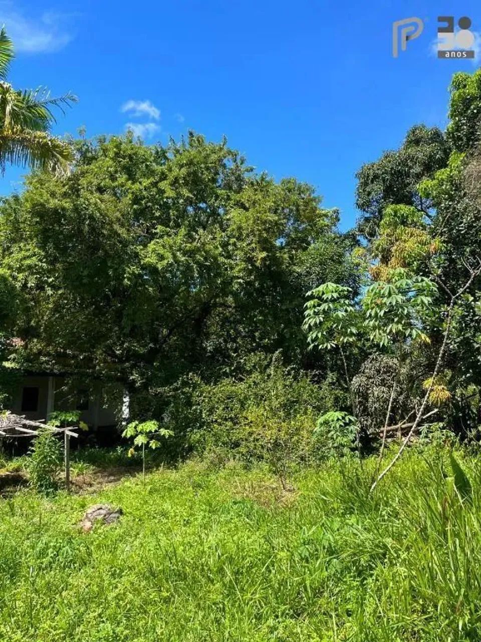 Área à venda, 40.000 m² por R$ 8.000.000,00 - Maiobinha - São Luís/MA - Foto 8