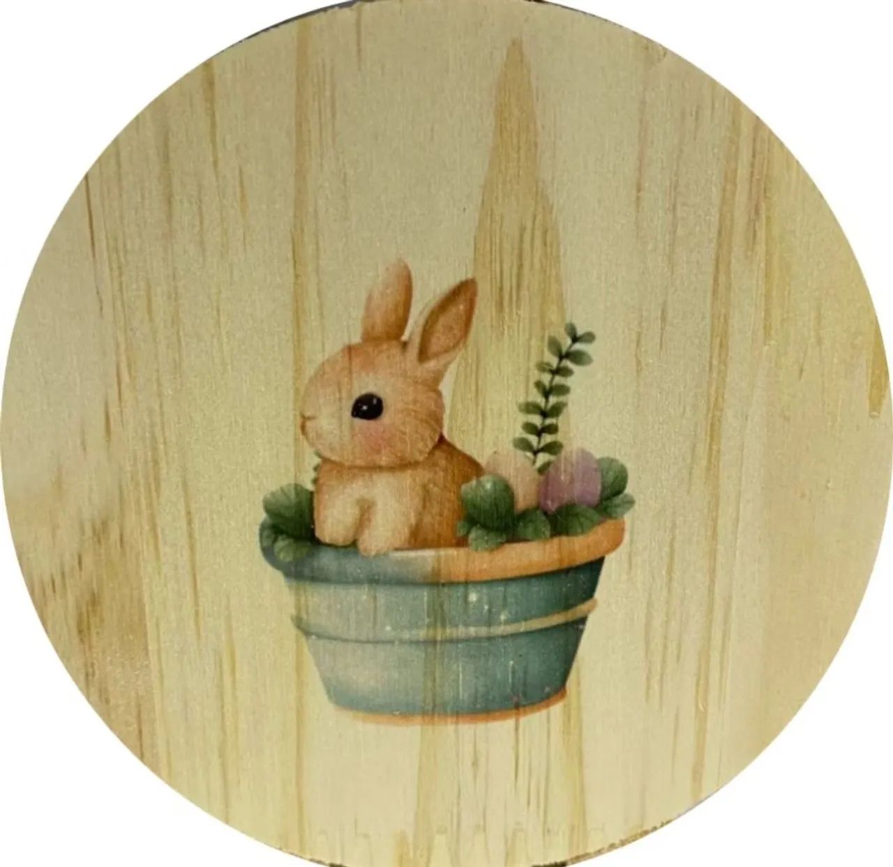 Porta Feno - Coelhos Porquinho da India Roedores - Foto 3