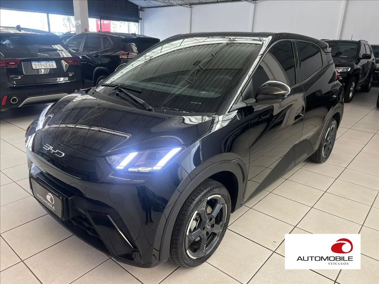 BYD Dolphin Mini (Elétrico) 2025 - Foto 2