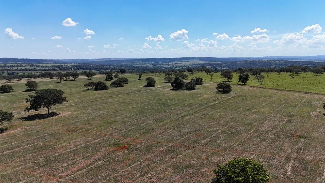 Fazenda em Aragoiânia  - Foto 3